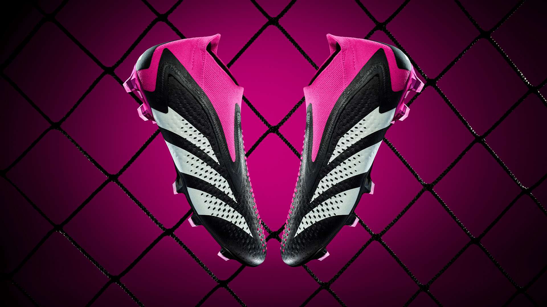 性和观赏性 性和观赏性