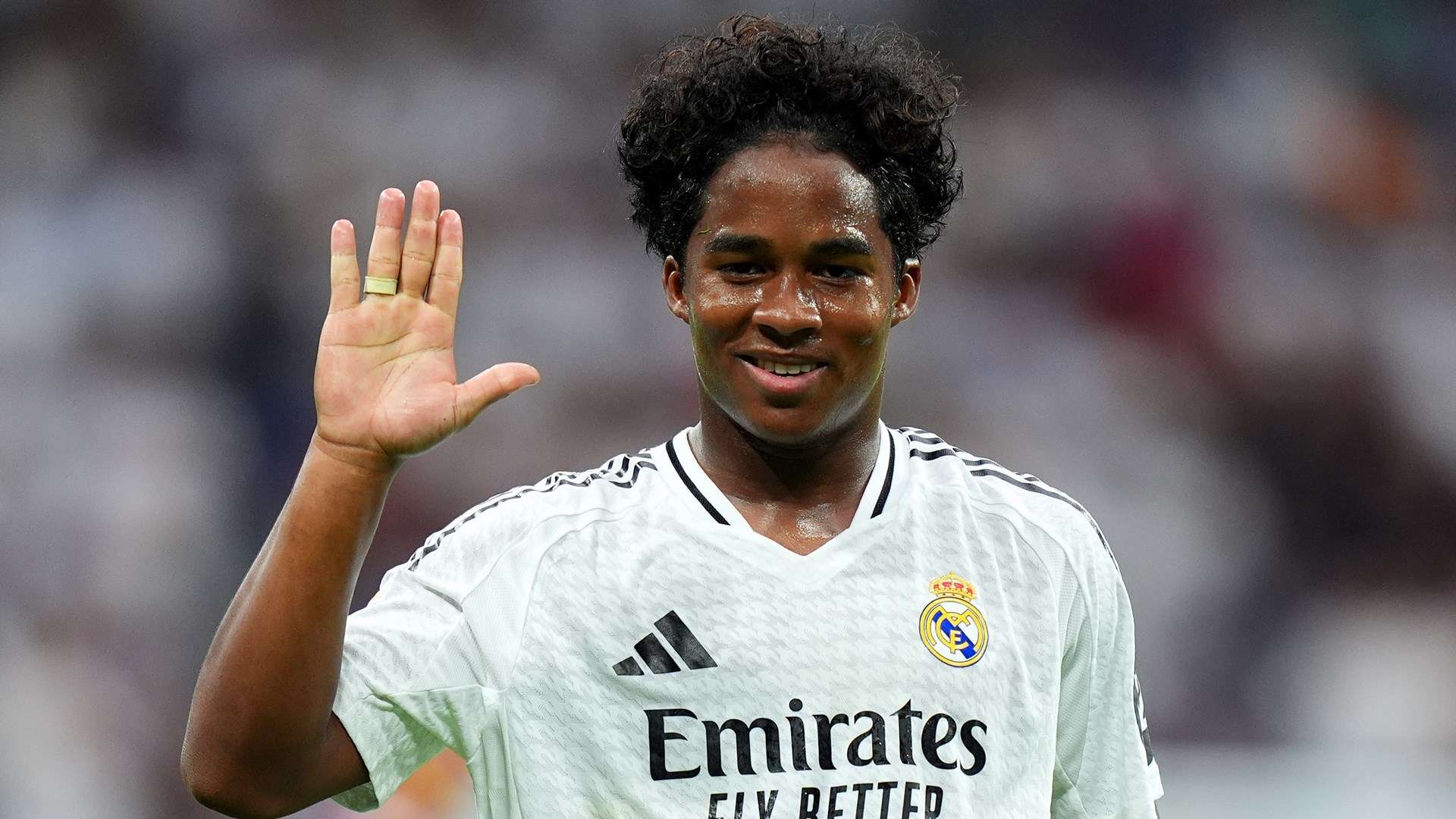 可撼动的地 可撼动的地