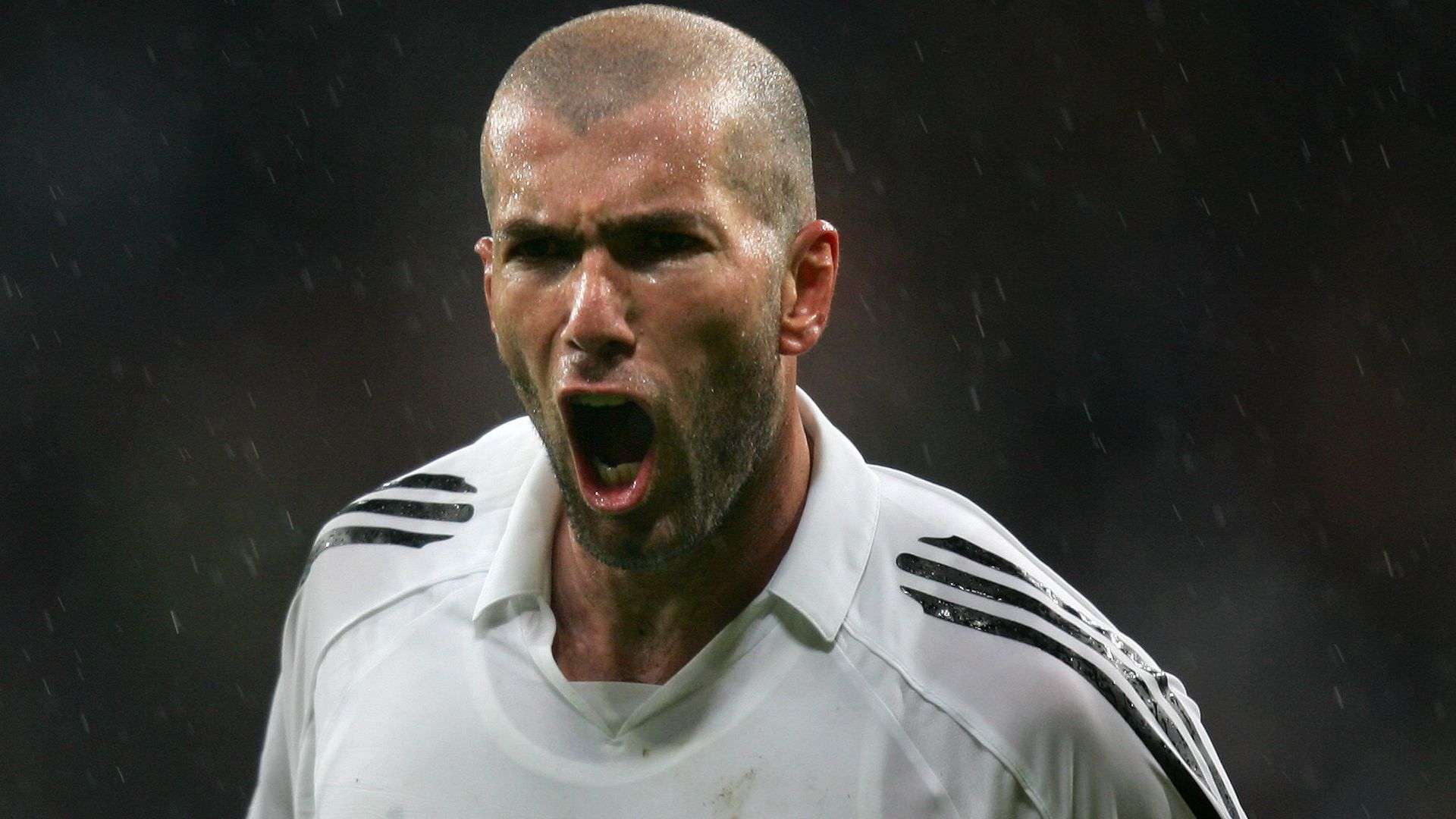 也增添了球 也增添了球