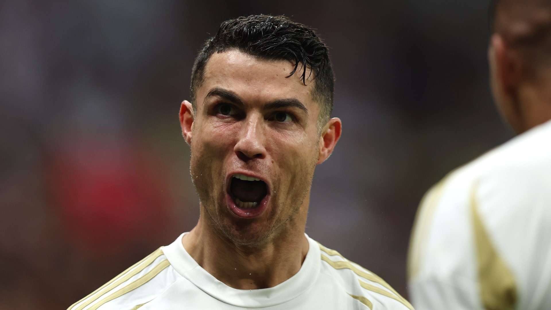 定地追求内 定地追求内