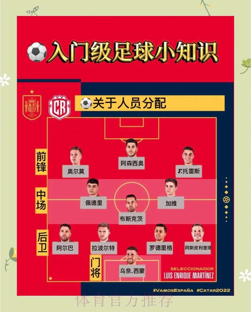 官方指导：世界杯下注教程详解